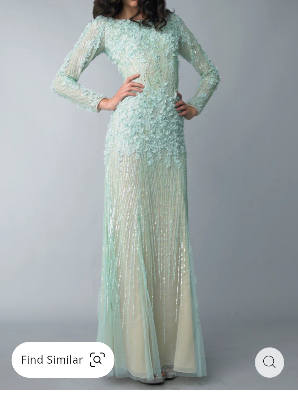 Mint Green Long Sleeve Beaded Appliqué Gown